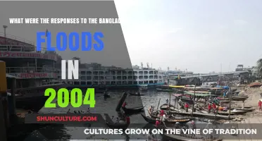 2004 Bangladesh Floods: Global and Local Responses to the Crisis