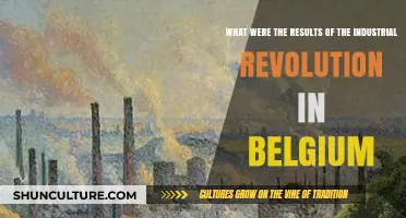 Belgium's Industrial Revolution: A Catalyst for Economic and Social Transformation