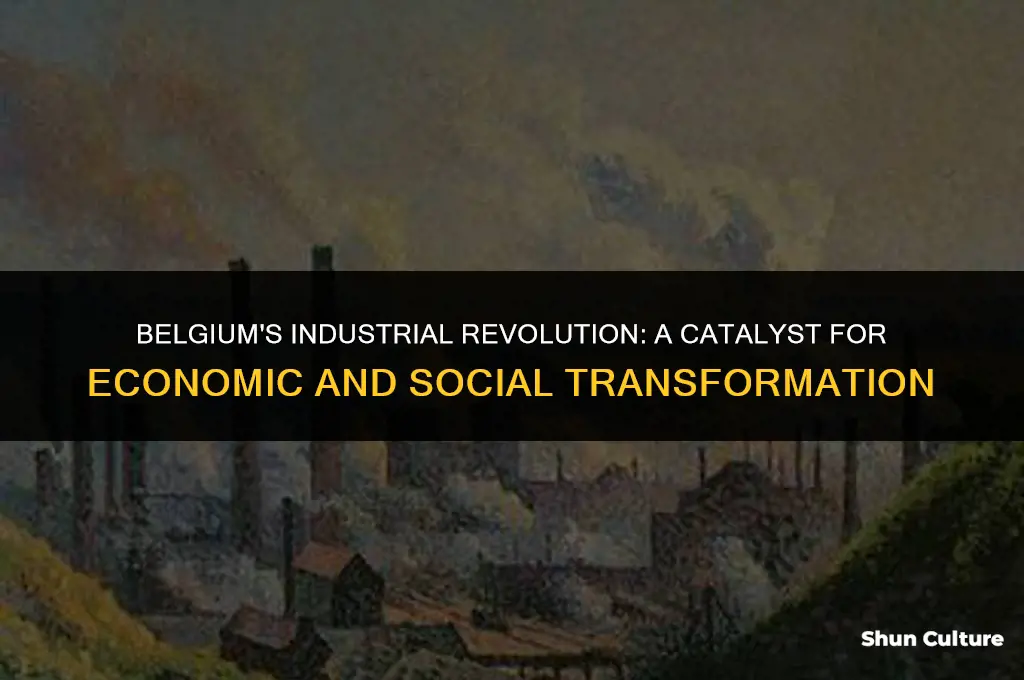 what were the results of the industrial revolution in belgium