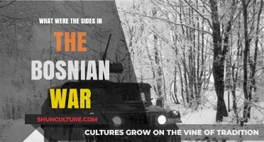 Bosnian War Factions: Understanding the Sides and Their Motivations