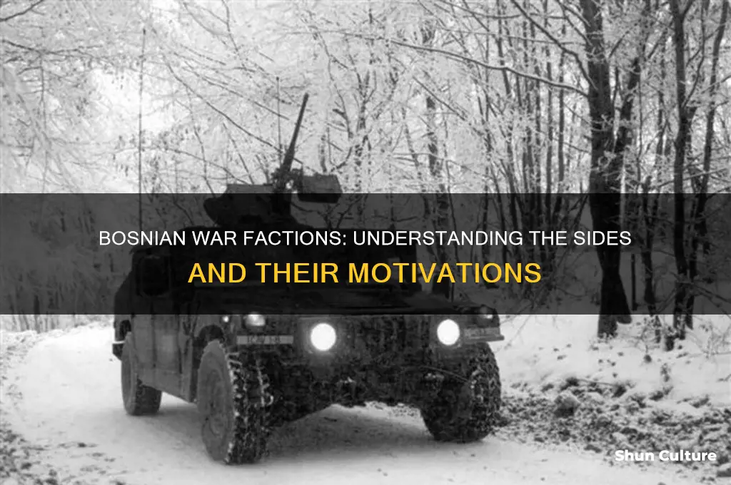 what were the sides in the bosnian war