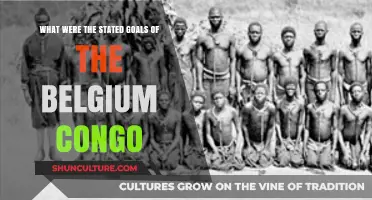 Exploring the Ambitions: Belgium's Stated Goals in the Congo