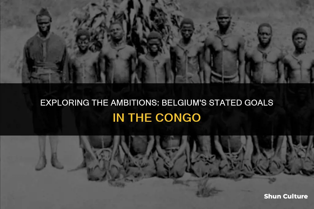 what were the stated goals of the belgium congo
