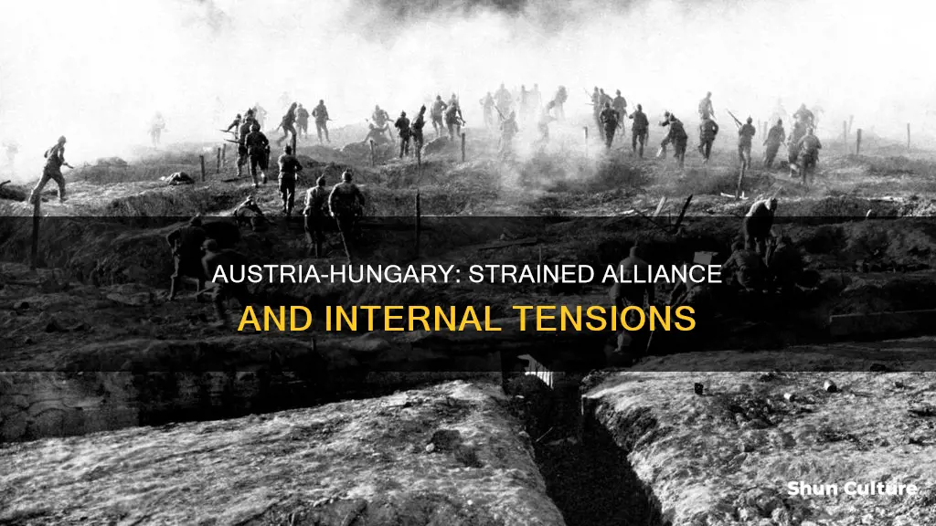 what were the tensions between austria and hungary