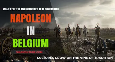 Clash of Empires: Belgium's Stand Against Napoleon's Conquest