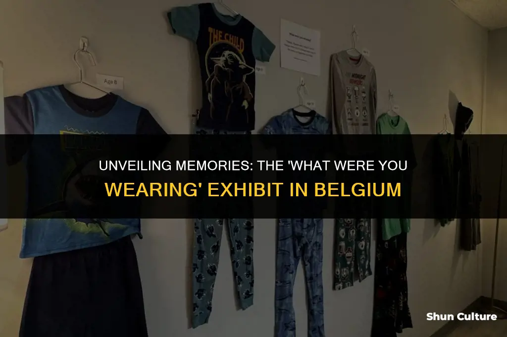 what were you wearing exhibit belgium