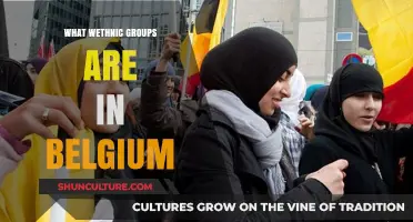 Exploring Belgium's Rich Cultural Tapestry: A Guide to Its Ethnic Groups