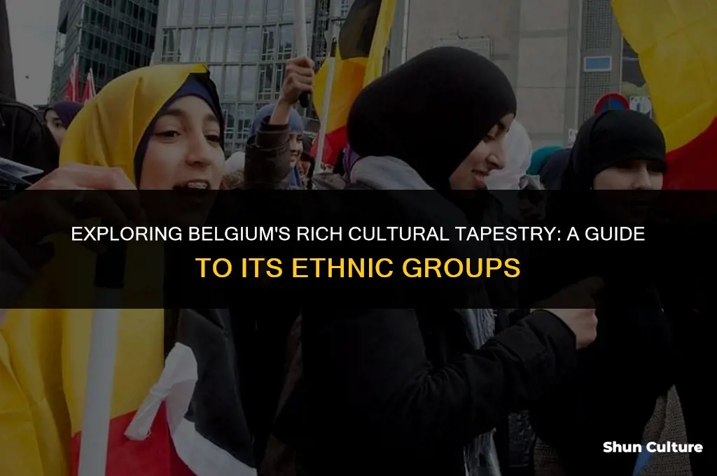 what wethnic groups are in belgium