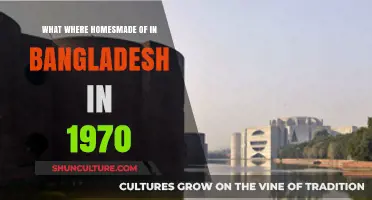 Traditional Bangladeshi Homes: Materials and Construction in the 1970s Era