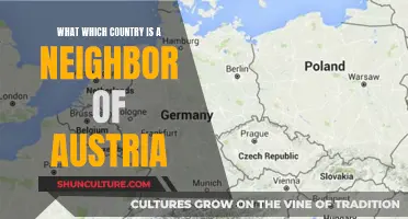 Exploring Austria's Neighbors: A Country's Bordering Nations