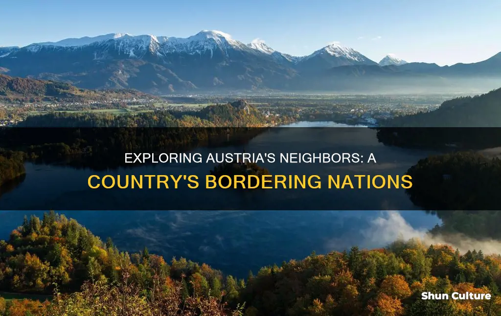 what which country is a neighbor of austria