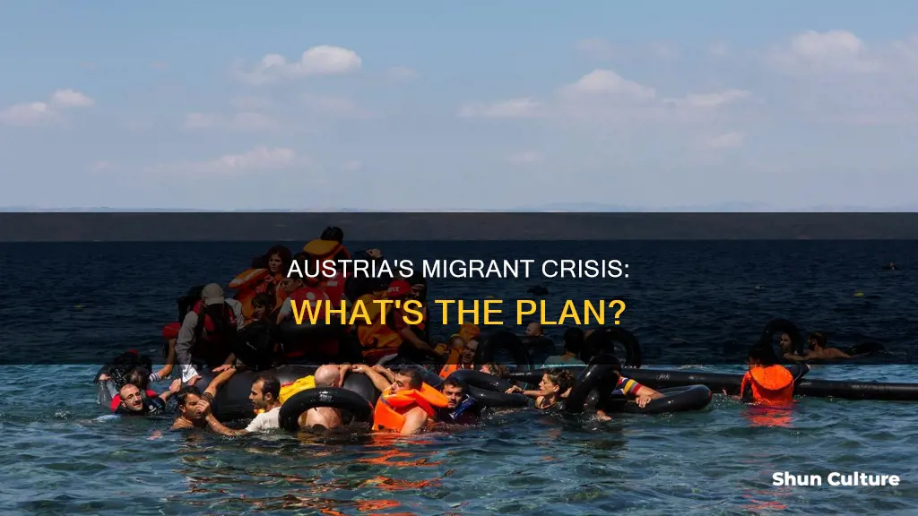 what will austria do with the migrants