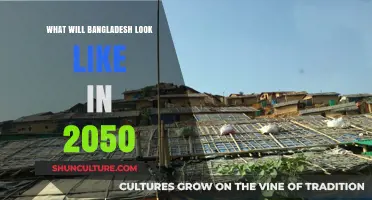Bangladesh 2050: A Vision of Progress, Challenges, and Transformation