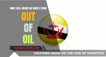 Brunei's Future: Life After Oil Reserves Deplete