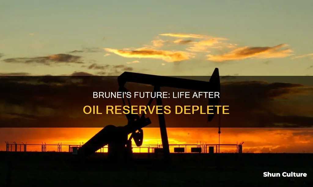 what will brunei do when it runs out of oil