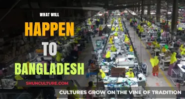 Bangladesh's Future: Challenges, Opportunities, and a Changing Landscape Ahead
