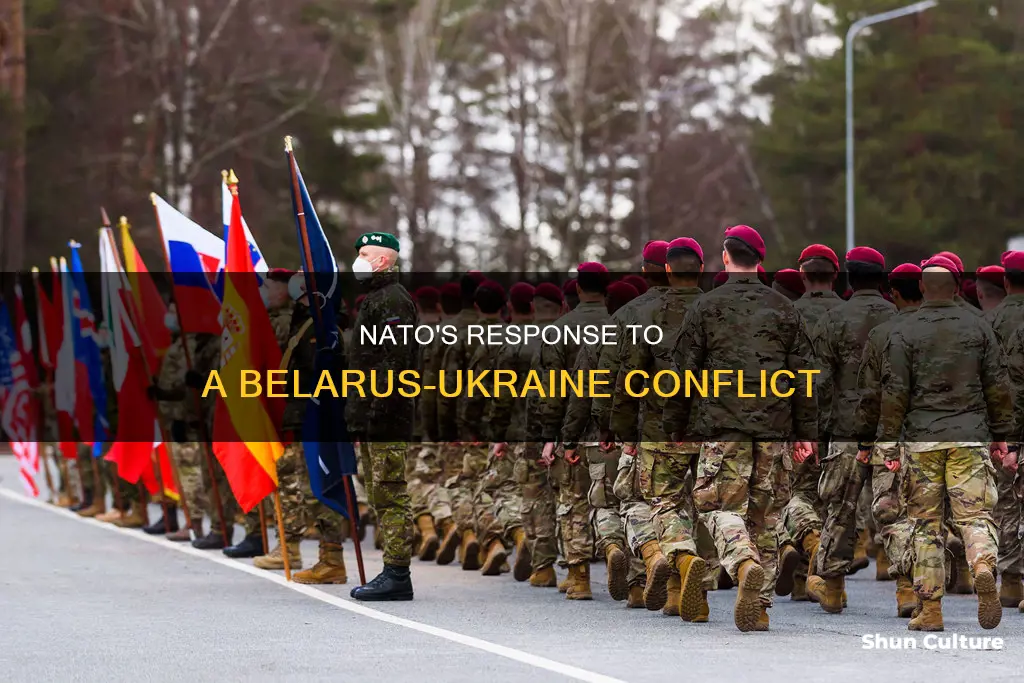 what will nato do if belarus attacks ukraine