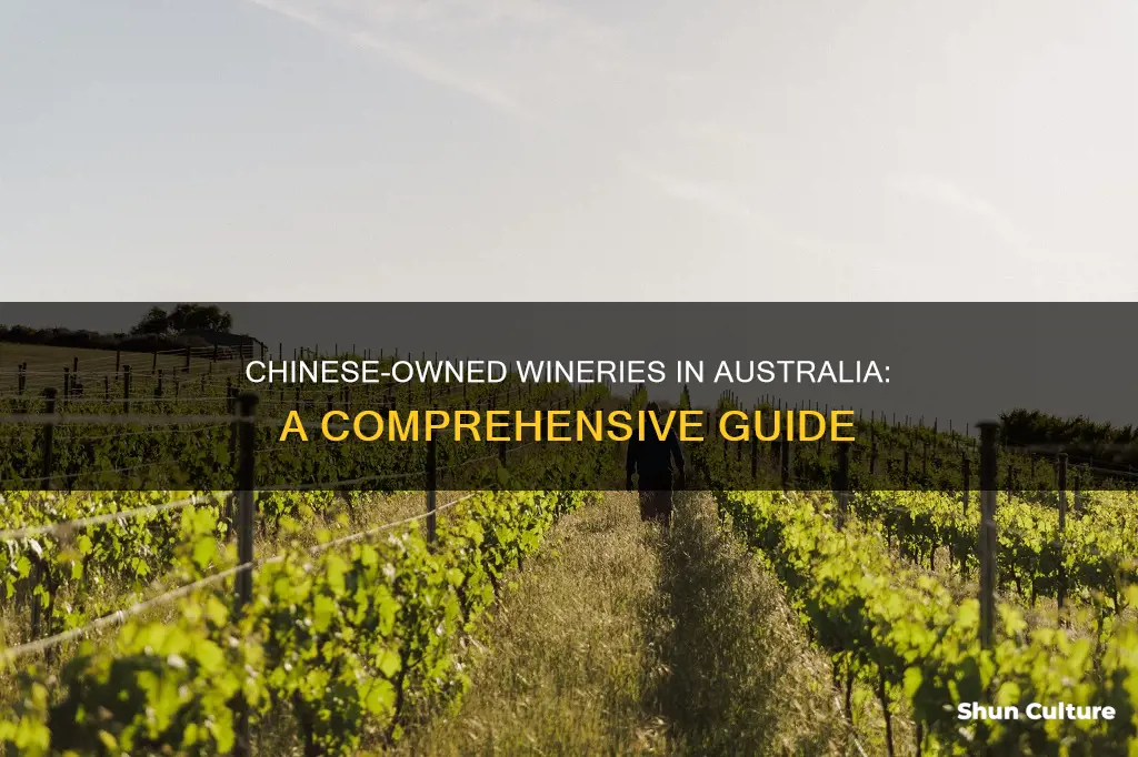 what wineries in australia are owned by chinese