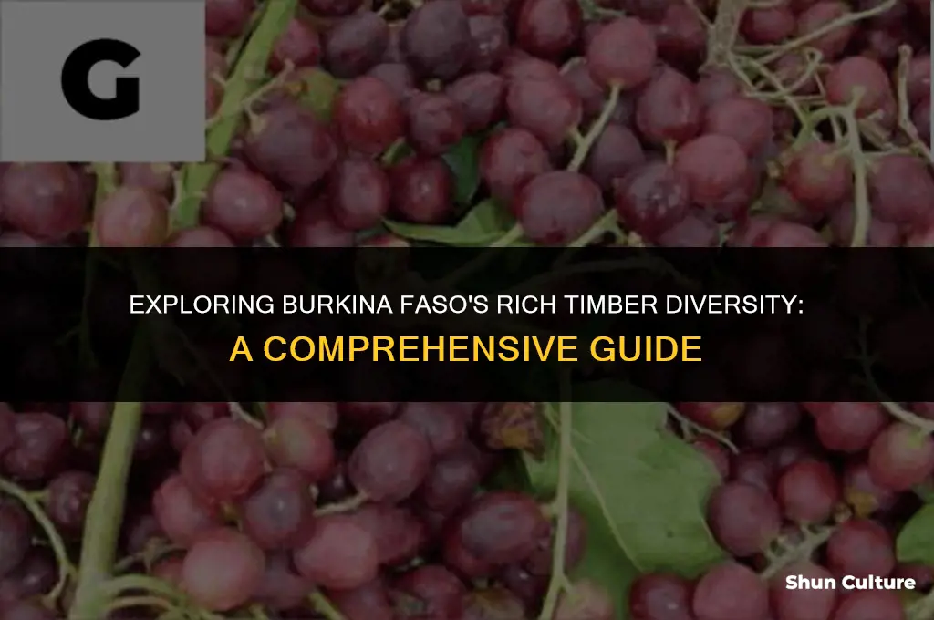 what wood is found in burkina faso