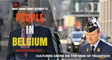 Safeguarding Belgium: The Power of Words in National Security