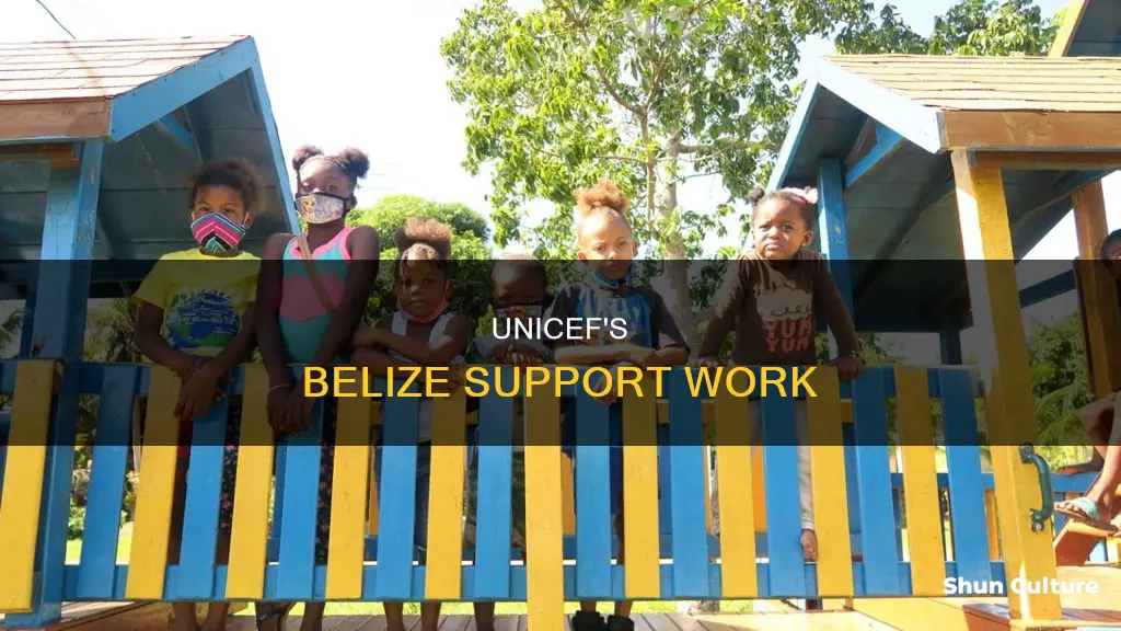 what work does unicef do in belize