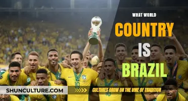 Exploring Brazil's Global Identity: A South American Nation's World Standing