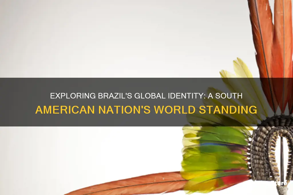 what world country is brazil