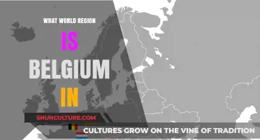 Exploring Belgium's Geographic Region: A Cultural and Historical Perspective