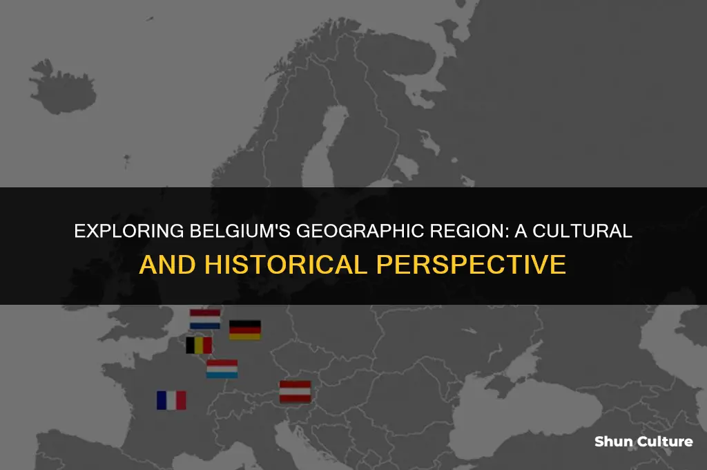what world region is belgium in