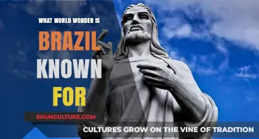 Brazil's Iconic Wonder: Christ the Redeemer's Global Legacy