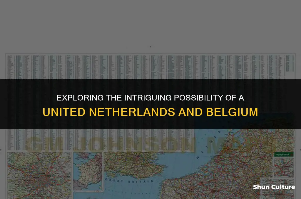 what would a united netherlands and belgium be called