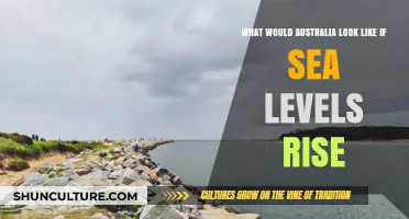 Rising Tides: Australia's Future Coastline and Inland Transformations