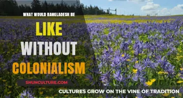 Bangladesh Uncolonized: Imagining a Nation Free from Imperial Rule