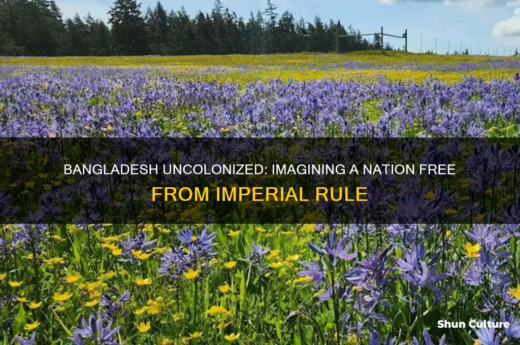what would bangladesh be like without colonialism
