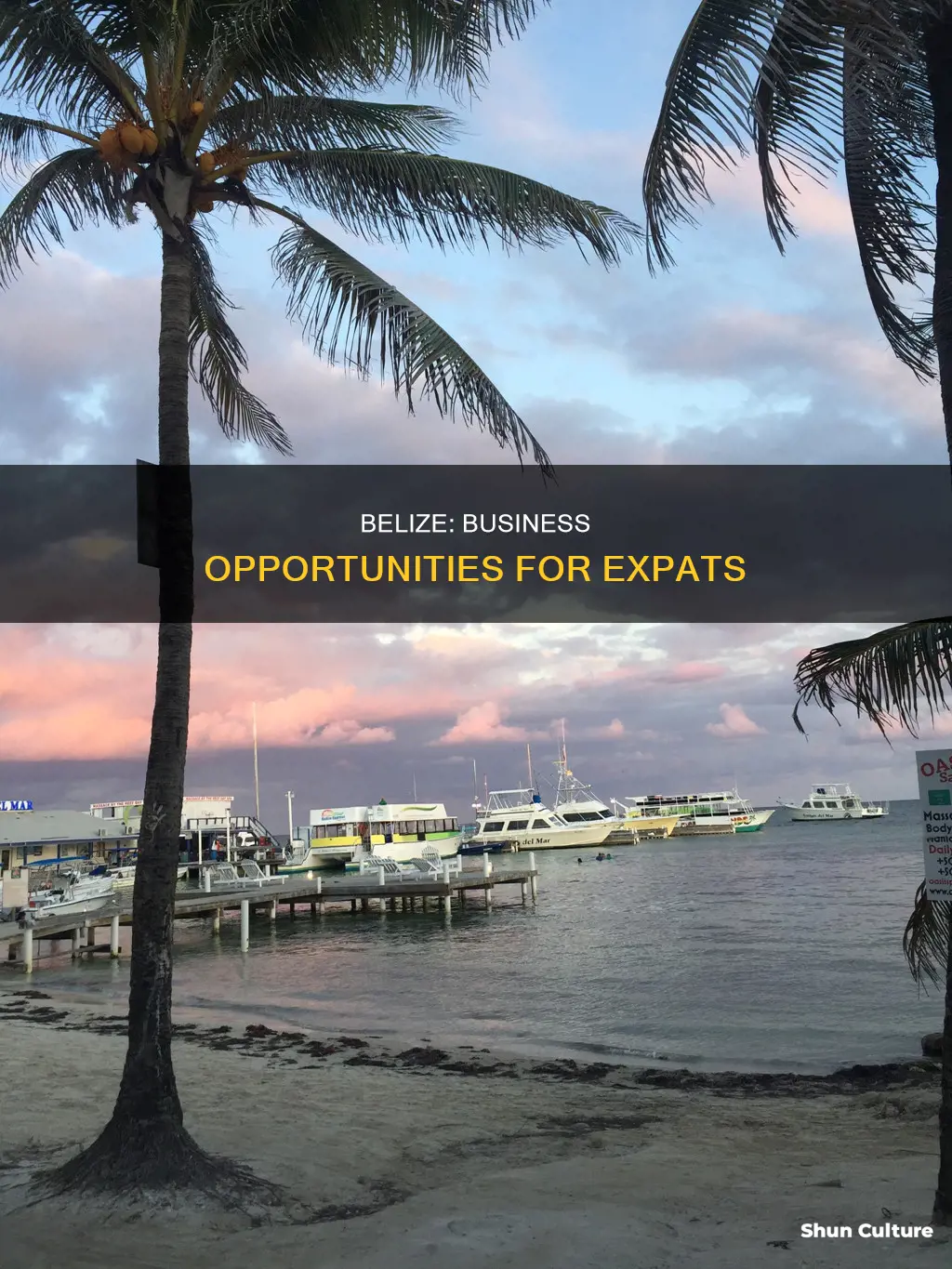 what would be a good business to start in belize