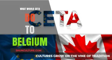 Impact of CETA on Belgium: A Comprehensive Analysis