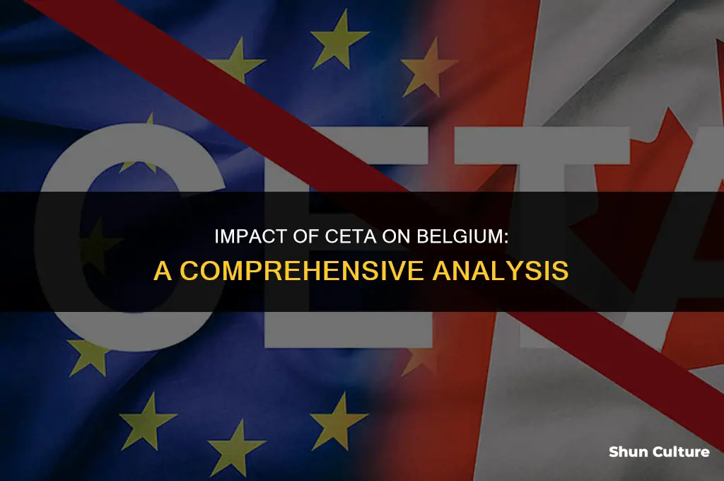 what would ceta do to belgium