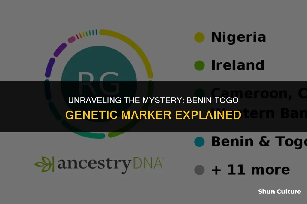 what would explain a 2 benin togo genetic marker