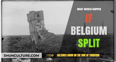 Exploring the Complex Aftermath of a Potential Belgian Split