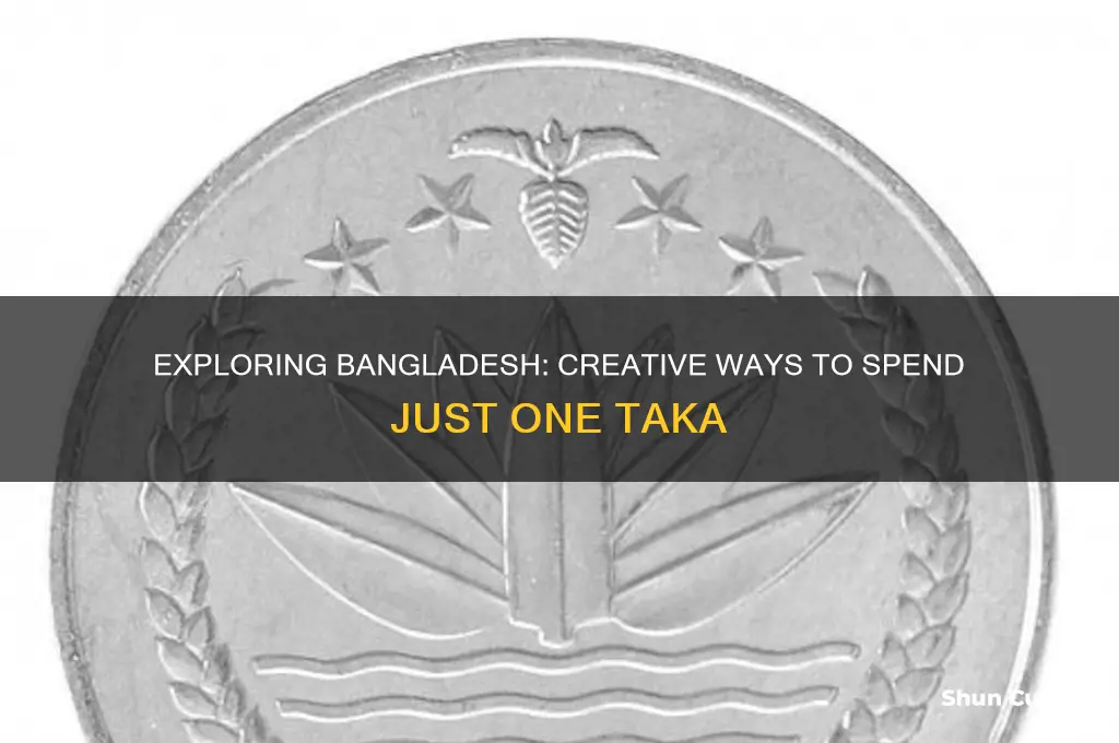 what would you di with a taka in bangladesh