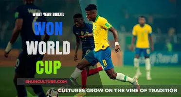 Brazil's World Cup Triumph: The Historic Year of Victory