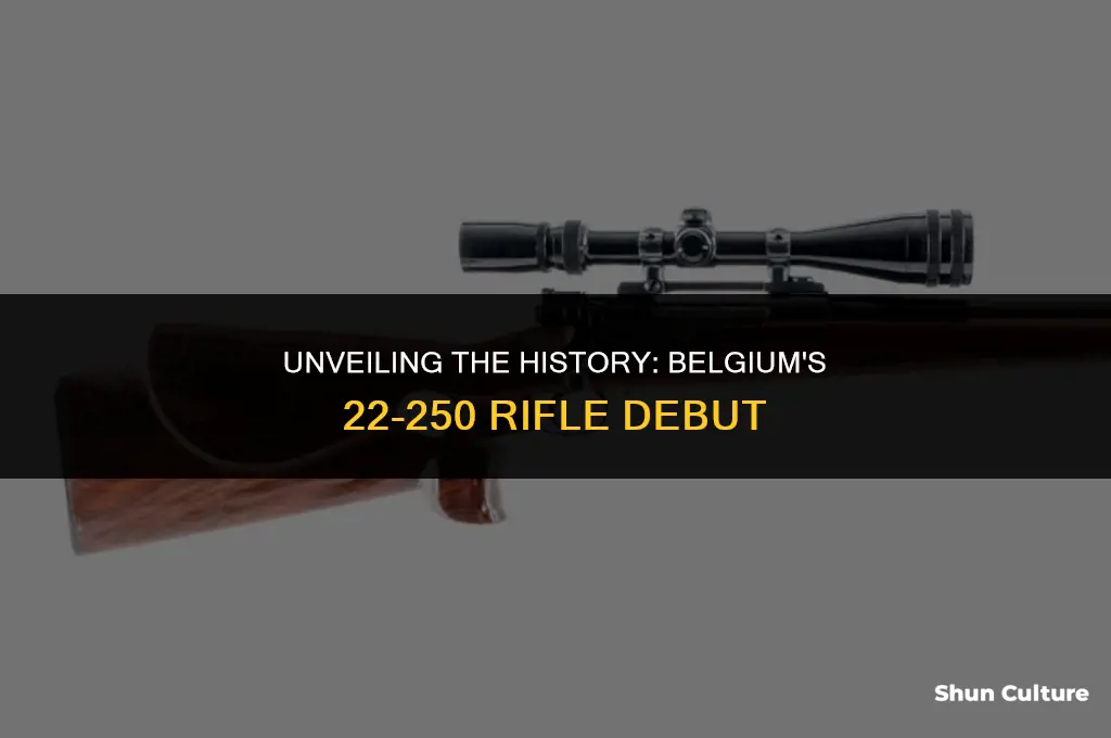 what year did a belgium made 22-250 rifle come out