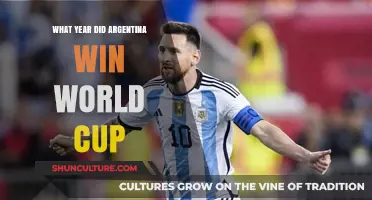 Glory in Football: Argentina's World Cup Triumph Revisited