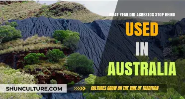 When Did Australia Ban Asbestos Use in Construction?
