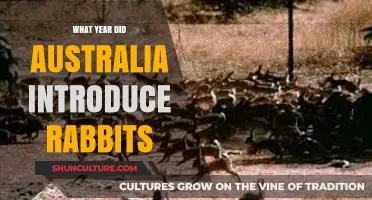 When Rabbits Arrived: Australia's Introduction Year Unveiled