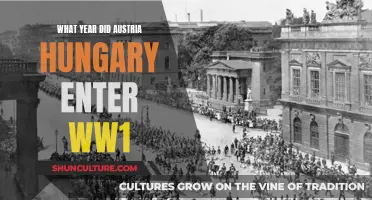 Austria-Hungary's Entry into World War I: A Turning Point