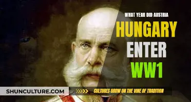 Austria-Hungary's Fateful Entry into World War I