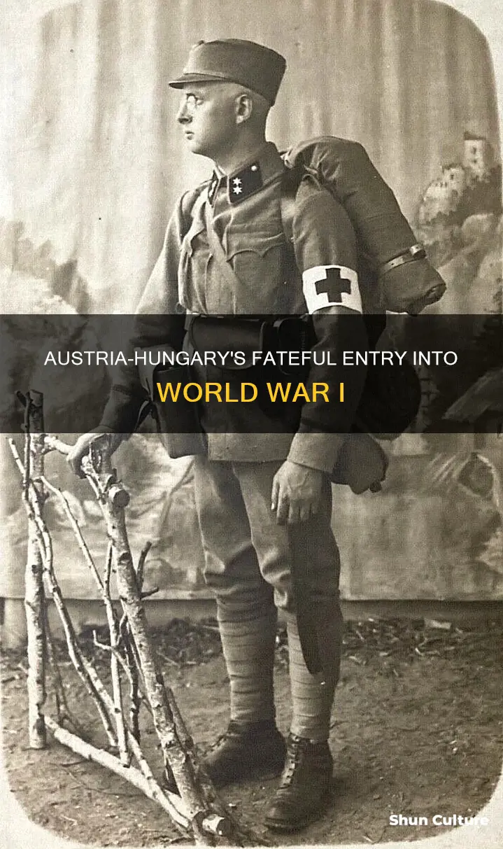 what year did austria hungary enter ww1