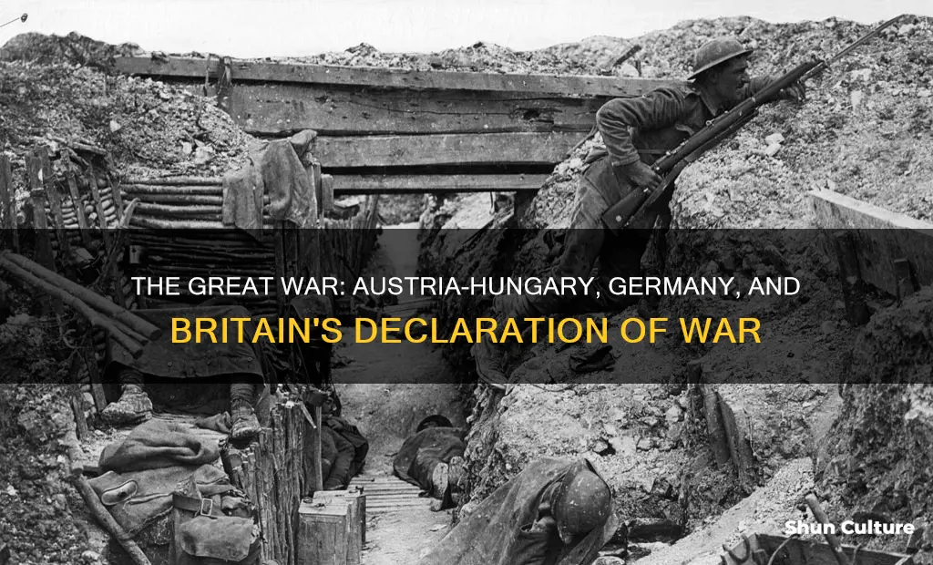 what year did austria hungary germany and britain declare war