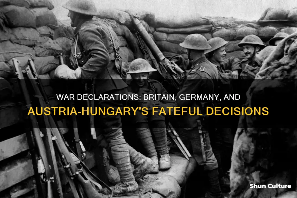 what year did austria hungary germany and britain declare war